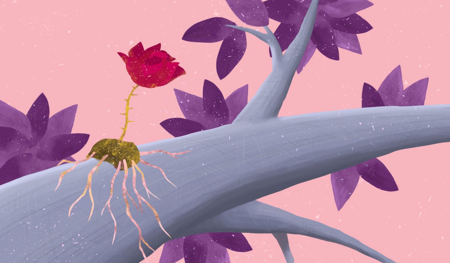 Pemanjat Sosial yang Elegankah Kita?